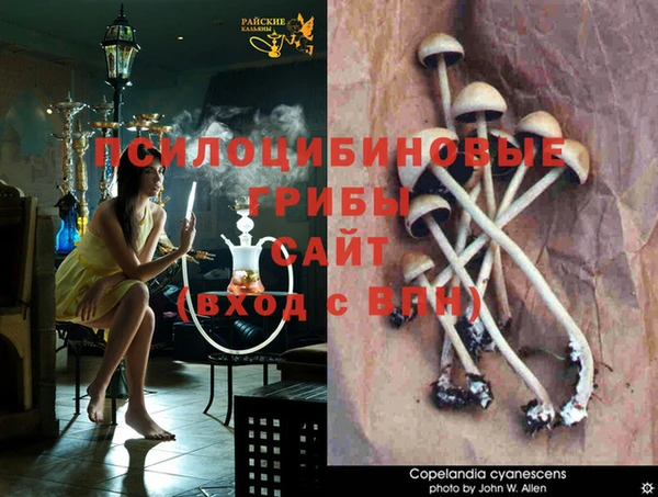 MDMA Зерноград