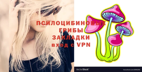 ешки Инта