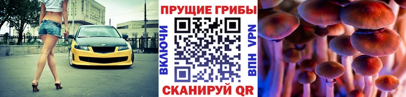 Псилоцибиновые грибы Cubensis  Купить  Вытегра 